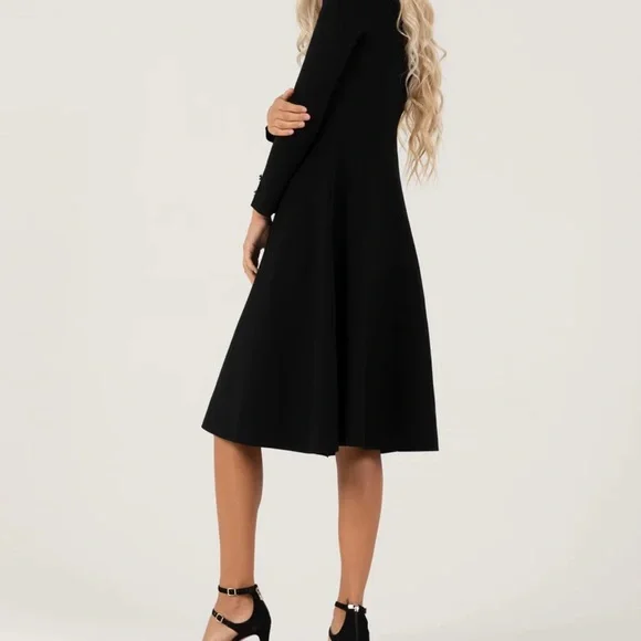 Aleeza Paris Elegant Black Double-Breasted Dress - Picture 5 of 5